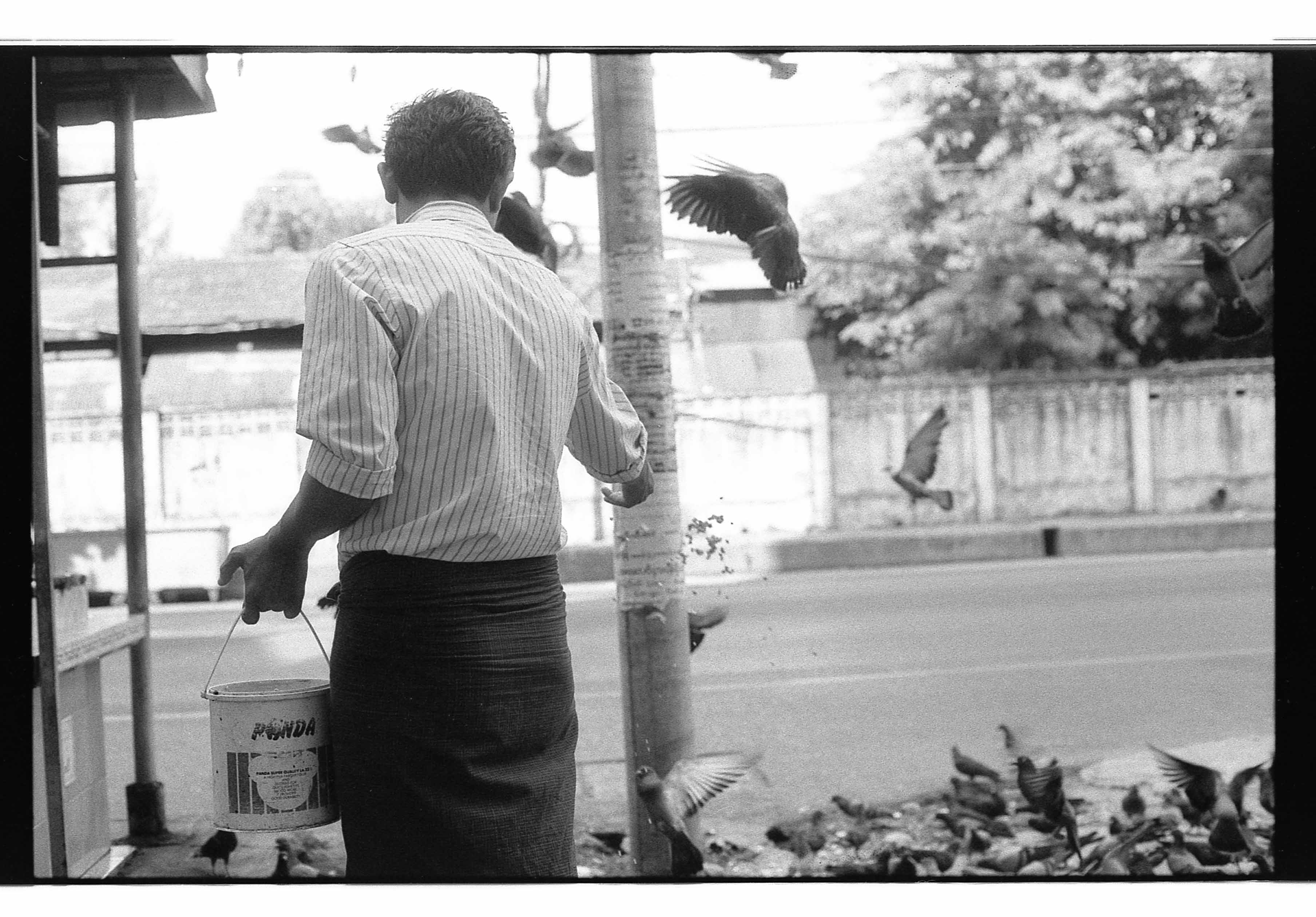 Yangon Myanmar pigeons B&W Ilford SFX 200